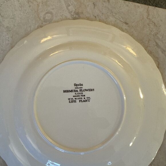 Spode England 9" Set of 4 Luncheon Plates BERMUDA FLOWERS Assorted Vintage - Picture 10 of 12